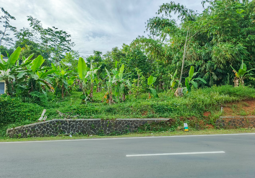 TANAH DI KAB. TASIKMALAYA - WOFF761-2 - foto 2